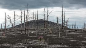 What Are Elements? - Video & Lesson Transcript | Study.com