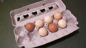 What are Fractions? - Definition & Examples | Study.com