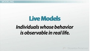 Live Models