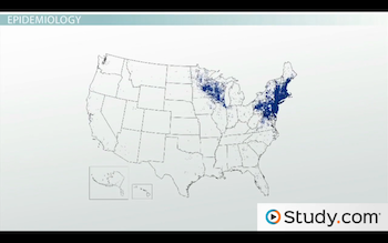 Cancer cluster or coincidence case study answers 08 picture