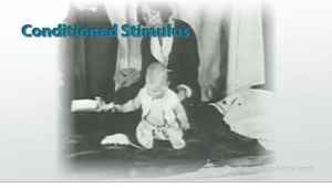 conditioned stimulus