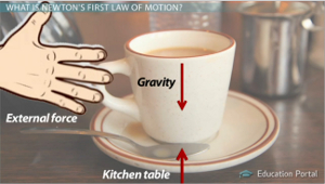 Examples Of Inertia In Everyday Life Newton's Laws Of Motion