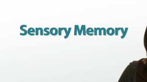sensory memory