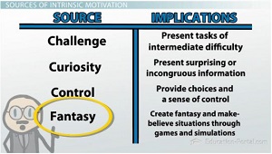sources of intrinsic motivation
