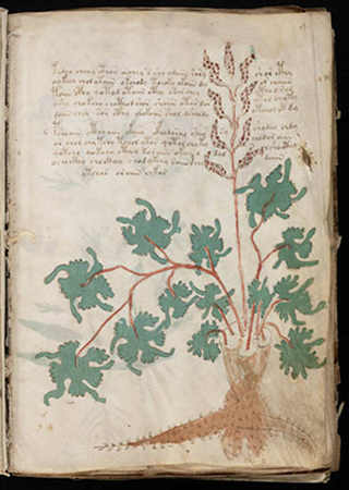 Centuries-Old Voynich Manuscript Puzzles Scholars