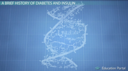 Biology 102: Basic Genetics Course - Online Video Lessons | Education