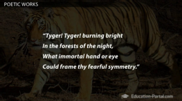 Darius The Great Quotes. QuotesGram