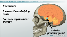 Metabolic Derangements Videos & Lessons | Education Portal