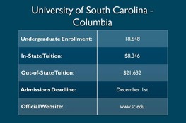 University of South Carolina Video Review