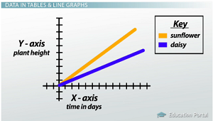 How to Read Scientific Graphs & Charts - Video & Lesson Transcript ...
