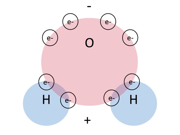 polar molecule: definition & examples